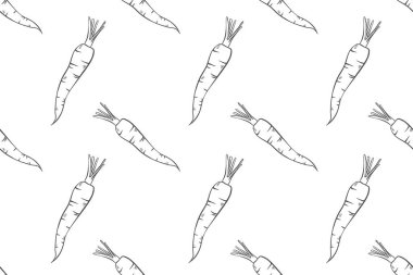 Havuçla kusursuz bir ana hatları var. Sebzelerin çizimi. Sağlıklı beslenme malzemelerinin yansıması.