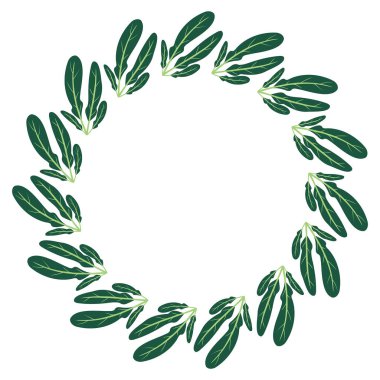 Yeşil marul yapraklı yuvarlak çerçeve. El yapımı renkli marul yaprakları, sebzeler ve mutfak gereçleri. Sağlıklı organik ürünler. Taze, sağlıklı sebzeler..