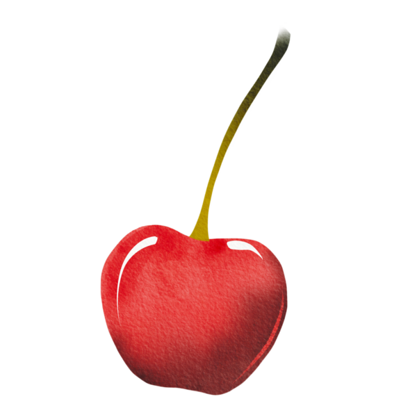 Taze kirazlar, el yapımı. Basit bir suluboya tarzında resimleme.