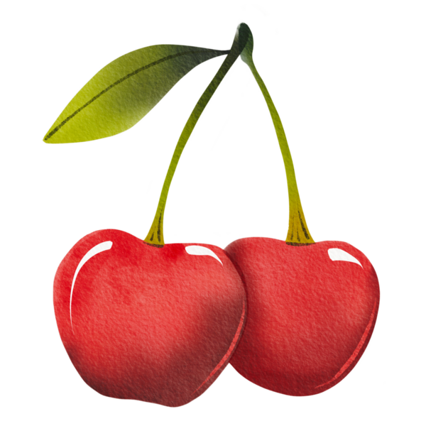 Bir çift taze, olgun kiraz, yeşil yapraklı, elle çizilmiş. Basit bir suluboya tarzında resimleme.