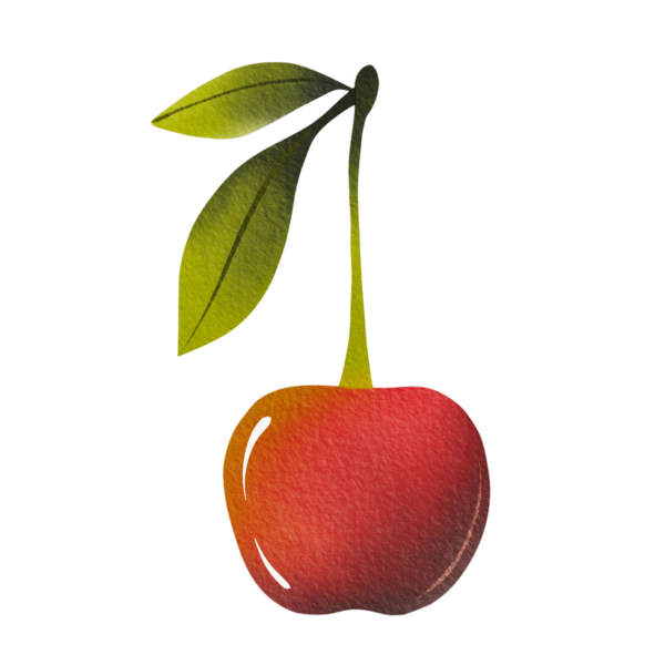 Yeşil yapraklı taze kirazlar, el yapımı. Basit suluboya çizimi.