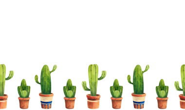 Kaktüsle kusursuz bir sınır. Kaktüslerin mavi desenli suluboya çizimi, dekorasyon için iç mekan bitkileri.