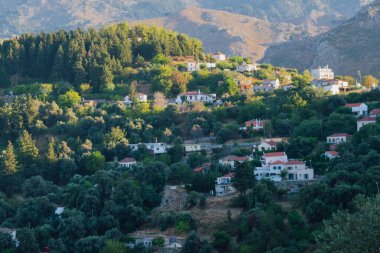 Batı Girit 'te yer alan Lakkoi dağ köyü, yazın açık güneşli gökyüzünün altında yoğun bir çam ormanı ve tepelerle çevrilidir.