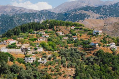 Batı Girit 'te yer alan Lakkoi dağ köyü, yazın açık güneşli gökyüzünün altında yoğun bir çam ormanı ve tepelerle çevrilidir.