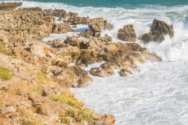 Deniz köpüğü kayalık kıyıya çarpıyor, denizin vahşi gücünü ve kıyı doğasının hareketli güzelliğini gösteriyor...