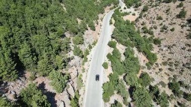 Yüksek irtifa ormanı boyunca doğal hava manzaralı virajlı yolda araç görüntüsü. Seyahat ile uçsuz bucaksız güzel ve zorlu doğal ortam arasındaki bağlantıyı vurgular.