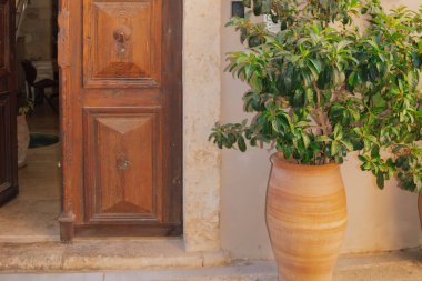 Akdeniz taş duvarı ve antik ahşap bir kapının yanında geniş bir terasotta tenceresinde gür, parlak yeşil yapraklar. Klasik Güney Avrupa açık hava verandası ve mimari detay.