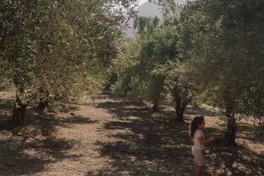 Görüntü, kırsal bölgenin huzurlu atmosferini yakalıyor. Seyahat, Akdeniz yaşam tarzı, organik tarım ve aile tatili kavramları için uygundur.