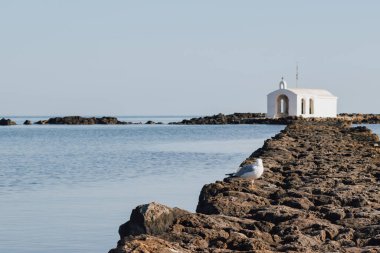 Agios Nikolaos Kilisesi Georgioupolis Kilisesi. Yunanistan 'da Girit' te taş yolu ve düşünceli kuş sahnesiyle martı manzaralı.
