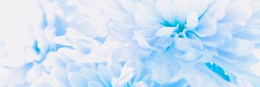 Sakin pastel mavi çiçek desenleri yumuşak odak noktasının soyut arkaplanı, birbirine dokunmuş yapraklar. Pürüzsüz, akışkan detay huzurlu bir atmosfer yaratıyor, spa temalı meditasyon başlıkları için mükemmel.