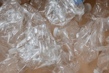 Birçok temiz plastik su şişesi geri dönüşüm için hazırlanan bir yerde karton bir kutuya konur. Sahne, çevre dostu bir çabayla şişelerin tekrar kullanılmaya hazır olduğunu gösteriyor..