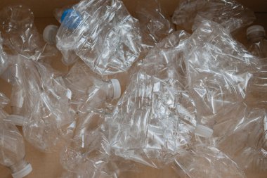 Geri dönüşüm için karton kutuya yerleştirilmiş boş plastik su şişelerinin toplanması. Atık ayıklama ve ev imha rutininin önemini gösterme.