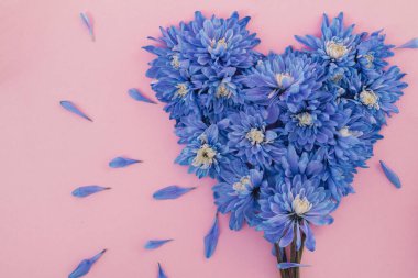 Eşsiz çiçekçilerin hediyesi: bir buket mavi kasımpatı bir yüzeyde yaratıcılıkla şekillendirilmiş. Bu özel sunum çiçekçi hizmetlerini, özel siparişleri ve son model, düşünceli hediye fikirlerini desteklemek için mükemmeldir.