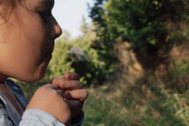 Çocuk karahindiba tohumu kafasına üfleyerek pappus salgılıyor: dilek tutmanın sembolik ritüeli. resim umudu, hayalleri ve geleneksel yaz oyununun masumiyetini temsil eder..