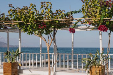 Sakin bir sahnede, berrak mavi bir gökyüzünün altında durgun denizi gören, renkli çiçeklerle süslenmiş ahşap bir yapı sergileniyor. Kumsal dinlenmeyi ve eğlenmeyi davet eder..