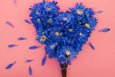 Yumuşak pastel arka planda canlı mavi kasımpatı çiçekleri kalp şeklinde düzenlenmiş. Bu romantik ve stilize kompozisyon Sevgililer Günü, yıldönümleri ve aşkı eşsiz bir şekilde ifade etmek için mükemmel.