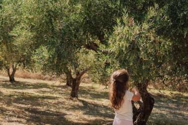 Bir çocuğun odak noktası olduğu koruluğun manzarası. Çevre koruma, tarım ve açık hava yaz etkinlikleri konuları için mükemmel