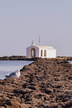 Yunanistan 'ın Girit kentindeki Georgioupolis Agios Nikolaos kıyı kilisesi ve yalnız martı taştan yaklaşım boyunca geniş mavi suyla görüldü