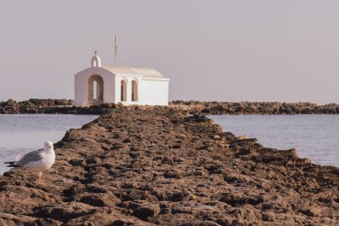 Yunanistan 'ın Girit kentindeki Georgioupolis Agios Nikolaos kıyı kilisesi ve yalnız martı taştan yaklaşım boyunca geniş mavi suyla görüldü