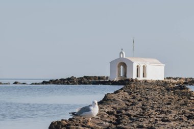 Yunanistan 'ın Girit kentindeki Georgioupolis Agios Nikolaos kıyı kilisesi ve yalnız martı taştan yaklaşım boyunca geniş mavi suyla görüldü