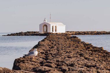 Agios Nikolaos Georgioupolis Kilisesi Yunanistan 'ın Girit kentindeki kayalık yolu gösteren martı anı ve denize bakan yalnız kuş.