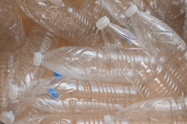 Birçok temiz plastik su şişesi geri dönüşüm için hazırlanan bir yerde karton bir kutuya konur. Sahne, çevre dostu bir çabayla şişelerin tekrar kullanılmaya hazır olduğunu gösteriyor..