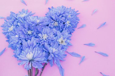 Mor kasımpatıların kalbi, yumuşak pembe bir arka planda sevgi ve romantizmi simgeliyor. Yumuşak renk paleti bu zarif kompozisyonu düğün kırtasiyesi ya da Sevgililer Günü tasarımları için ideal hale getirir.