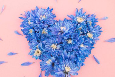 Zarif mavi ve pembe renk paleti, canlı kasımpatı çiçekleri olan bir kalp. Bu lüks, göze çarpan görüntü üst düzey güzellik, moda ve sofistike çiçek hediye hizmetleri için uygundur.