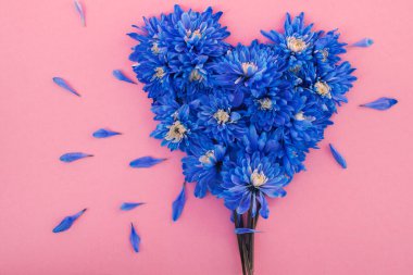 Çiçek soyut: mavi kasımpatı yaprakları yumuşak renklerde dinamik bir kalp şeklinde dizilmiştir. Görüntü, modern reklam, dekor ve grafik şablonları için ideal olan koyu renk karşıtlığını ve yaratıcı tasarımı vurgular