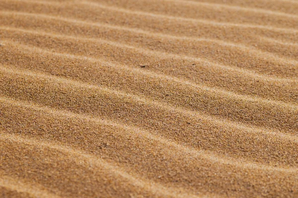 Dokulu kum tepeciklerinin yakın görüntüsü, doğal güneş ışığıyla aydınlatılan altın kahverengi tonlarda yumuşak dalgalar ve desenler sergiliyor.