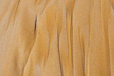 Keskin çıkıntılar oluşturan ince tanelerin makro görüntüsü. Parlak güneş ışığı altında ayrıntılı mineral dokuları modern tasarım ve organik markalaşma projeleri için sinematik bir yüzey sunar.