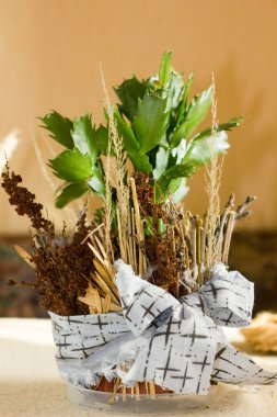 El dal saksıyı yapımı