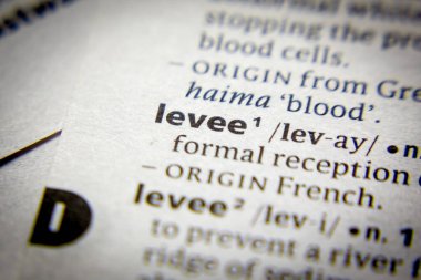 Sözlükte Levee sözcüğü veya ifadesi