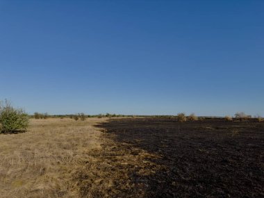 Çimen üstüne çimen yangını, görünür yanık çizgileri ve kuru bitki örtüsü. Küresel ısınma ve doğa hasarı kavramı.