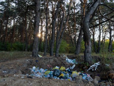 Güneş ışığı, yerdeki büyük çöp yığınlarıyla orman ağaçlarının arasından parlıyor, kirlilik kavramı, çevresel hasar ve doğa üzerindeki insan etkisi..