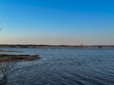Akşamları sular altında kalan bahar çayırları, uzaklarda yüzen kuğular, mavi gökyüzünü yansıtan sakin sular, sakin atmosferi olan huzurlu kırsal alanlar..