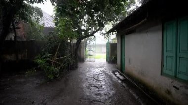 Parkta şiddetli yağmur ve güçlü hava