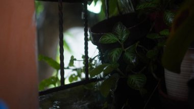 Yağmur yağarken park etmek çok güzel.