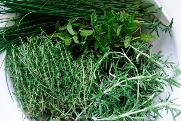 A Colander Full of Fresh Green Herbs — Stock Photo, Image