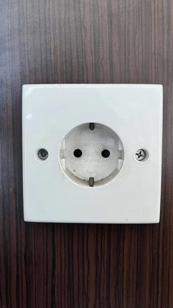 Tahta bir Duvarda Beyaz F Tipi Elektrik Soketi