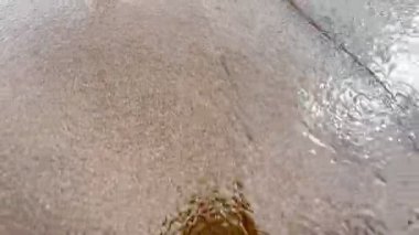 Yumuşak Dalgaların Görüş Alanı Islak Kumsalda Ayaklara Dokunuyor