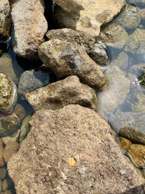 Açık Suya Batmış Dokulu Nehir Kayalarının Yakın Çekimi