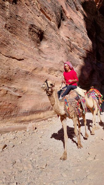 A man rides a decorated camel through a rocky canyon with richly colored sandstone walls in Petra, Jordan, under bright sunlight, showcasing cultural heritage and desert transportation