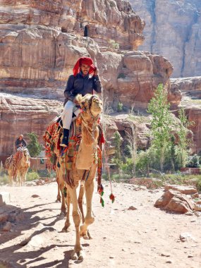 Geleneksel Bedevi kıyafetli bir adam süslü bir deve ile Ürdün 'ün kayalık çöl arazisinde arka planda antik kumtaşı kayalıkları yükselen Petra' ya biniyor..