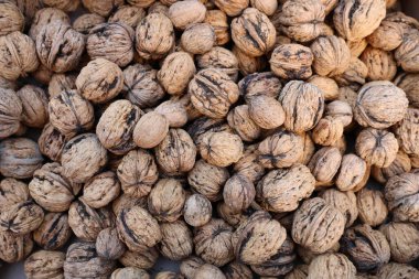 Kabuklu ceviz kabuklarının üst görüntüsü yoğun bir doğal doku oluşturuyor. Taşralı organik fındıklar sağlıklı beslenmeyi, hasat mevsimini ve doğal besin bileşenlerini sembolize ediyor..