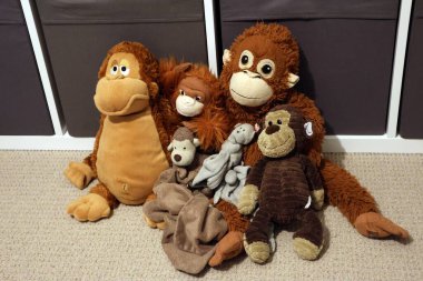 Bir grup doldurulmuş maymun halının üzerinde oturuyor. Sıcaklık ve rahatlık kavramı. Doldurulmuş hayvanlar rahat bir şekilde diziliyorlar.