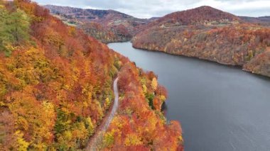 Dar bir yol, kıyı şeridini kucaklıyor, canlı bir sonbahar yeşillik, sakin su ve manzaralı kırsal bölgeleri sergiliyor.