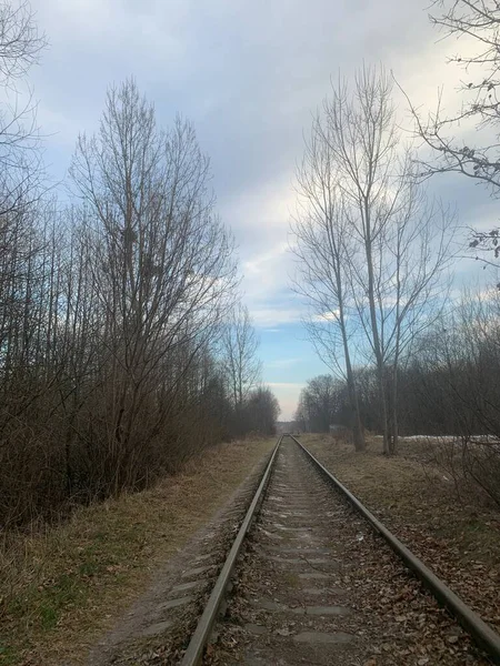 Demiryolu ilkbaharın başlarında yapraksız ağaçlar arasında uzanan boş tren yolu boyunca uzanır. İlkbaharın başlarında sakin kırsal alan, doğal gün ışığı, simetri ve perspektif.