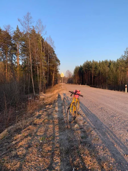 Bisikletle Sunset Yellow 'da kırsal bir yolda altın saat boyunca ormanla çevrili sakin bir kırsal yolda duran bisiklet. Seyahat ve özgürlük kavramı.