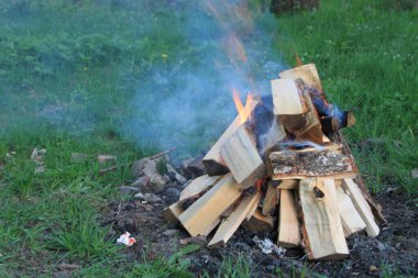 Dışarıda yanan küçük kamp ateşi yeşil çimlerde dumanla yanan yakacak odundan yapılmış küçük kamp ateşi. Açık havada hayatta kalma, kamp ve kırsal yaşam tarzı kavramı.